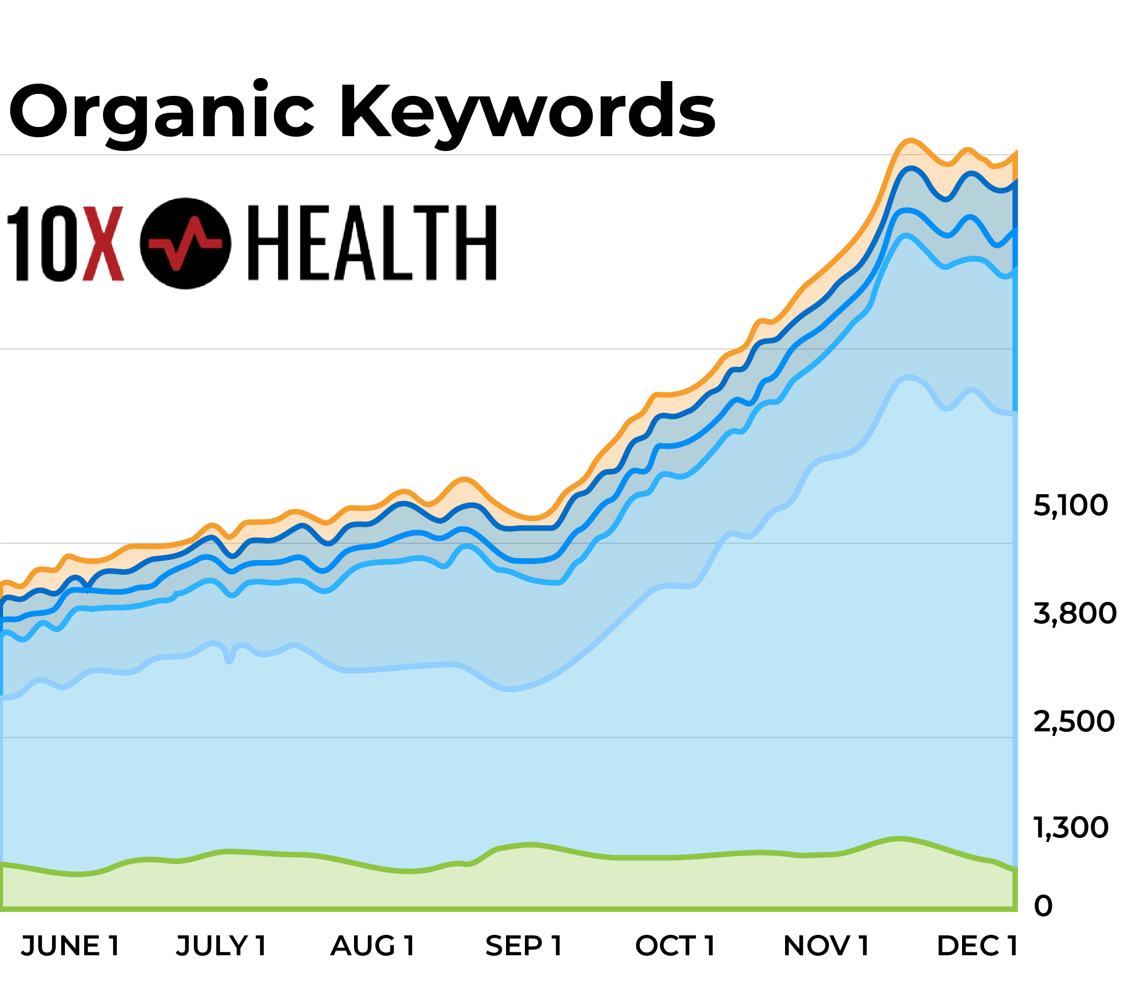 BizIQ SEO Improvement Graphic