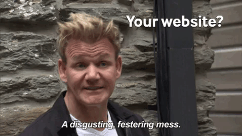 Gif Gordon Ramsey with text Your website? A disgusting, festering mess.