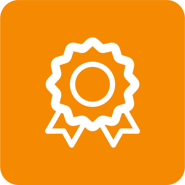 Efficiency Icon