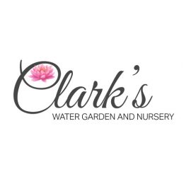 Logopg Clarks